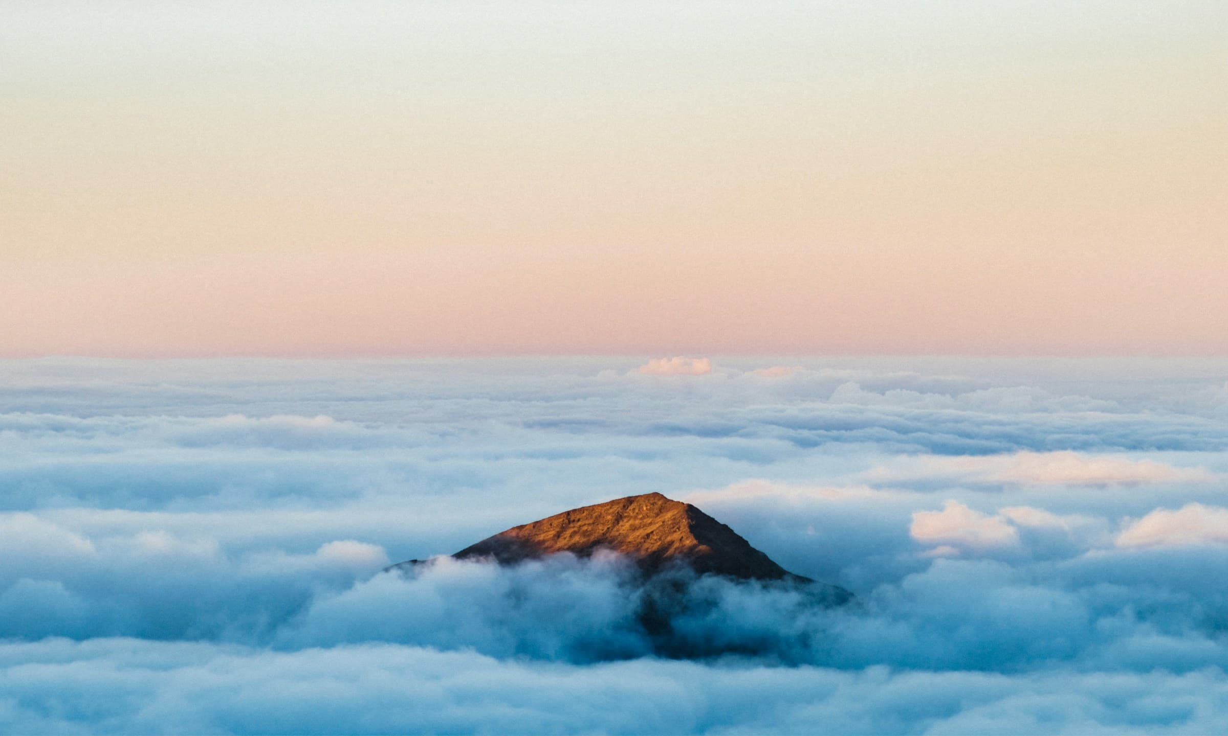 continental_beyond_travel_management_tailored_solutions_growth (1)